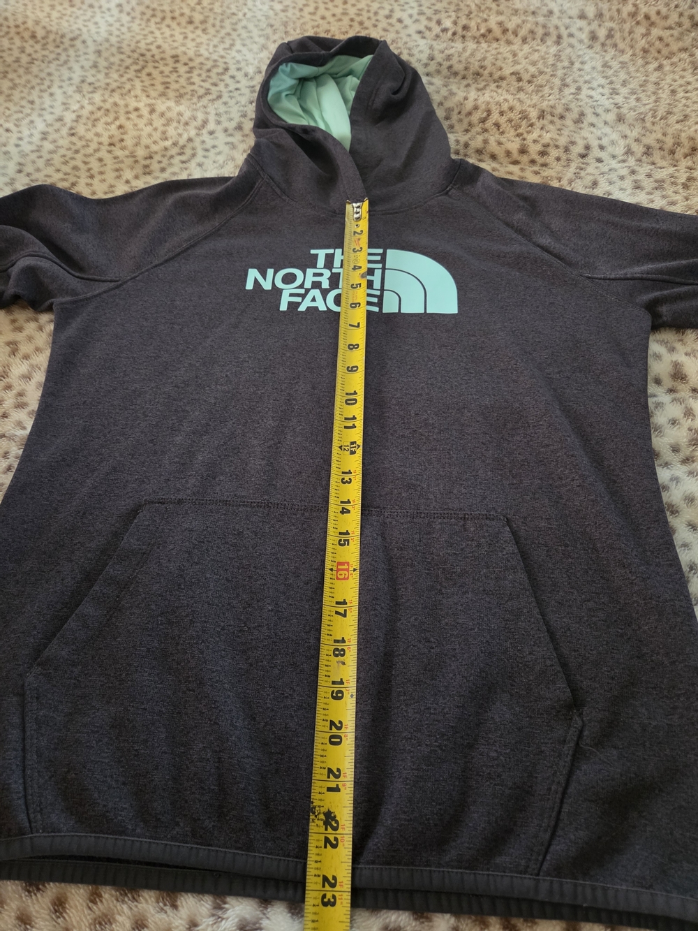 The North Face Charcoal Hoodie with Aqua Logo - Picture 5 of 10